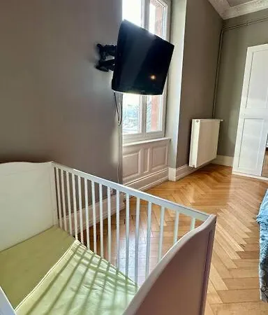 Daire Maison De Maitre Avec Jacuzzi Mulhouse